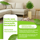 Kit Vaso Decorativo Bege Ficus Artificial 90cm