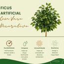 Kit Vaso Decorativo Bege Ficus Artificial 90cm