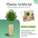 Kit Vaso Decorativo Bege Ficus Artificial 90cm