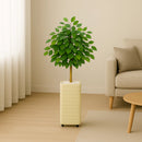 Kit Vaso Decorativo Bege Ficus Artificial 90cm